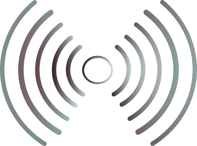 A silver circle with silver waves radiating out from it.